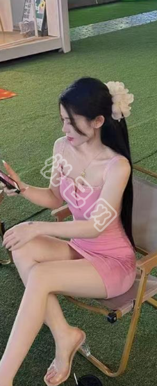 【小玫瑰】的相册