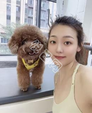 【静静子】的相册