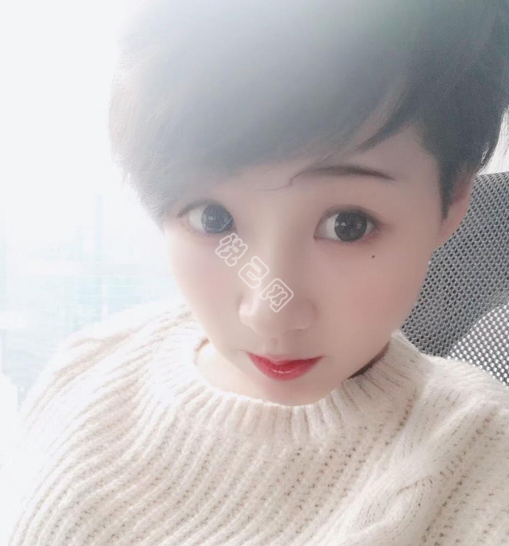 【枇杷树叶】的相册