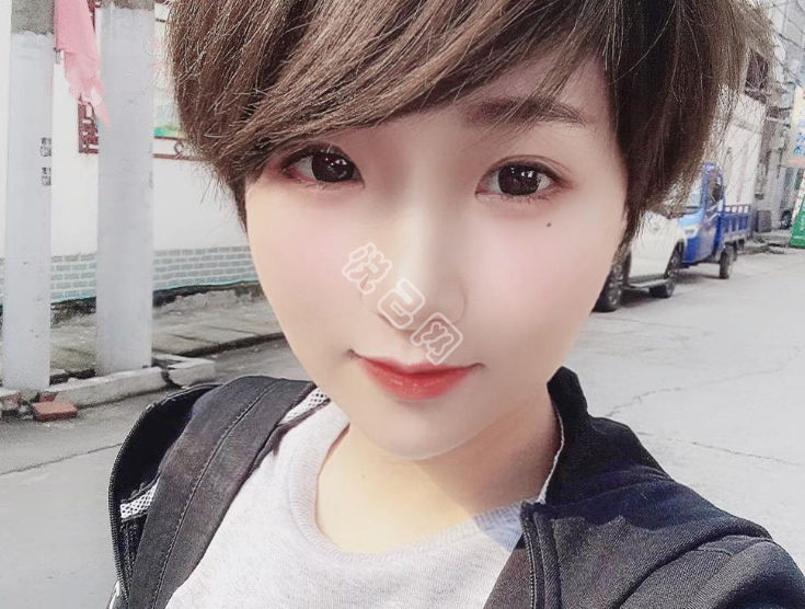 【枇杷树叶】的相册