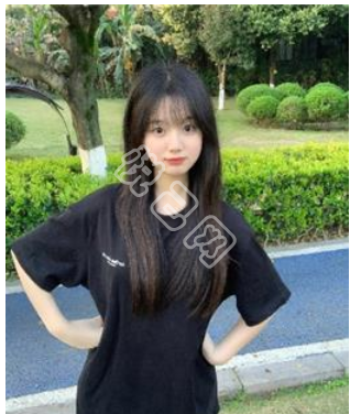 【淡墨清荷】的相册